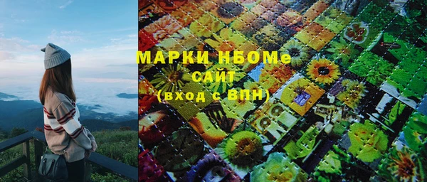 шишки Аркадак