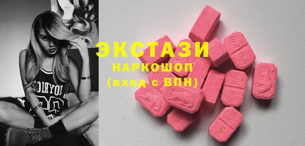 шишки Аркадак