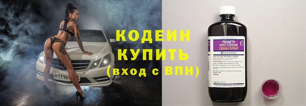 шишки Аркадак
