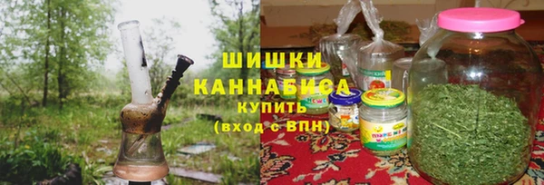 шишки Аркадак