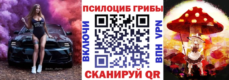 Галлюциногенные грибы Psilocybe  Купить где  Строитель 